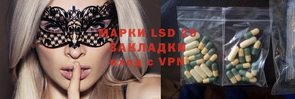 PSILOCYBIN Богородск