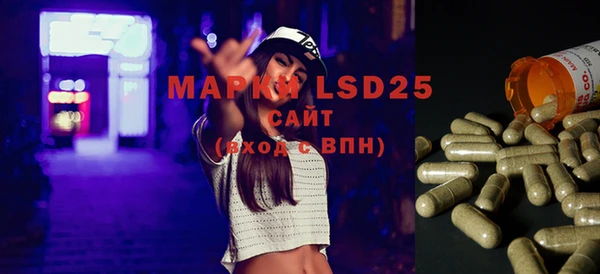 гашиш Богданович