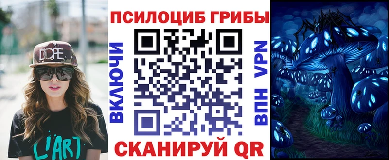 ссылка на мегу ссылка Нерехта Псилоцибиновые грибы Psilocybine cubensis наркота